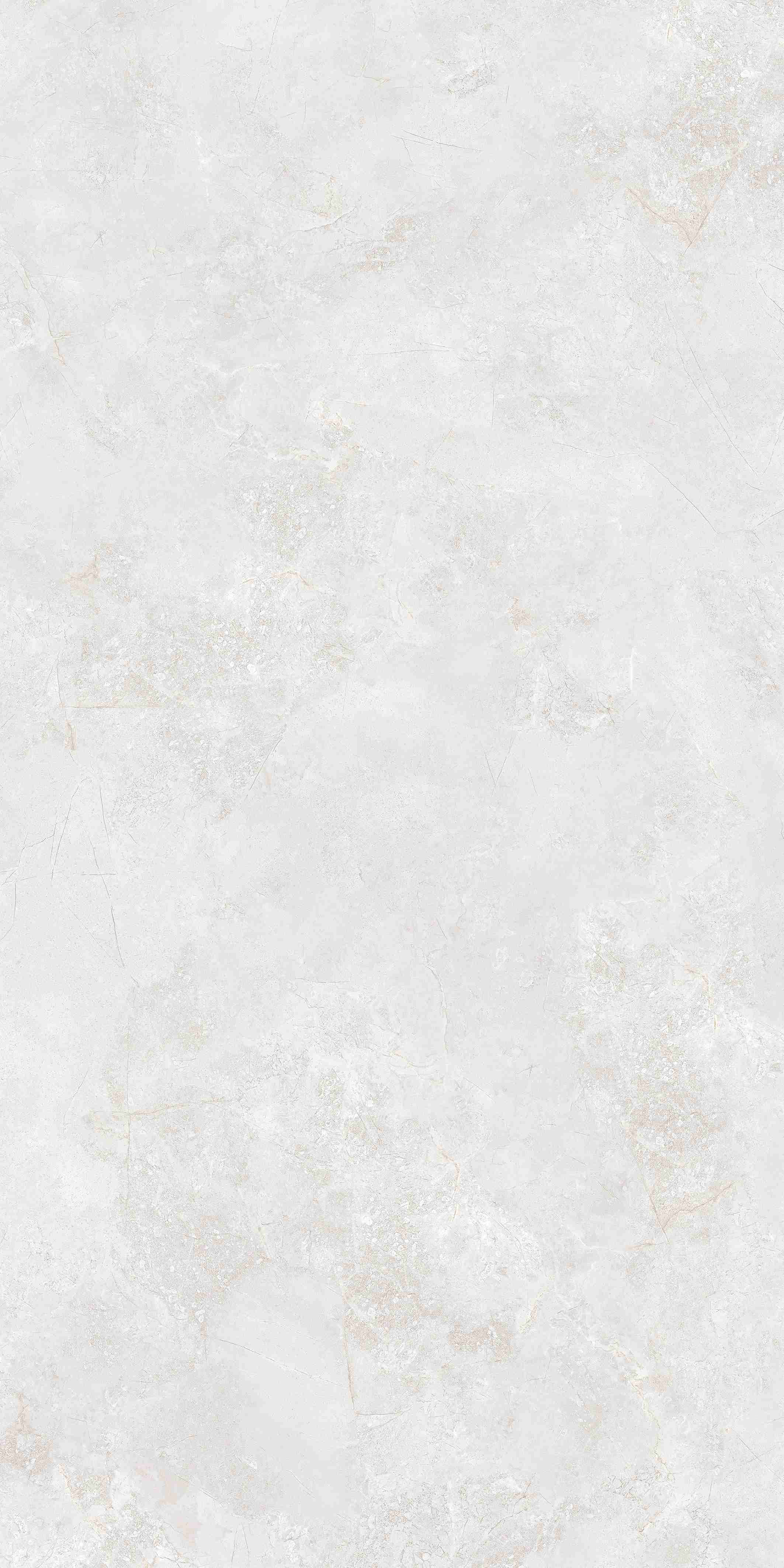 202504012354235423