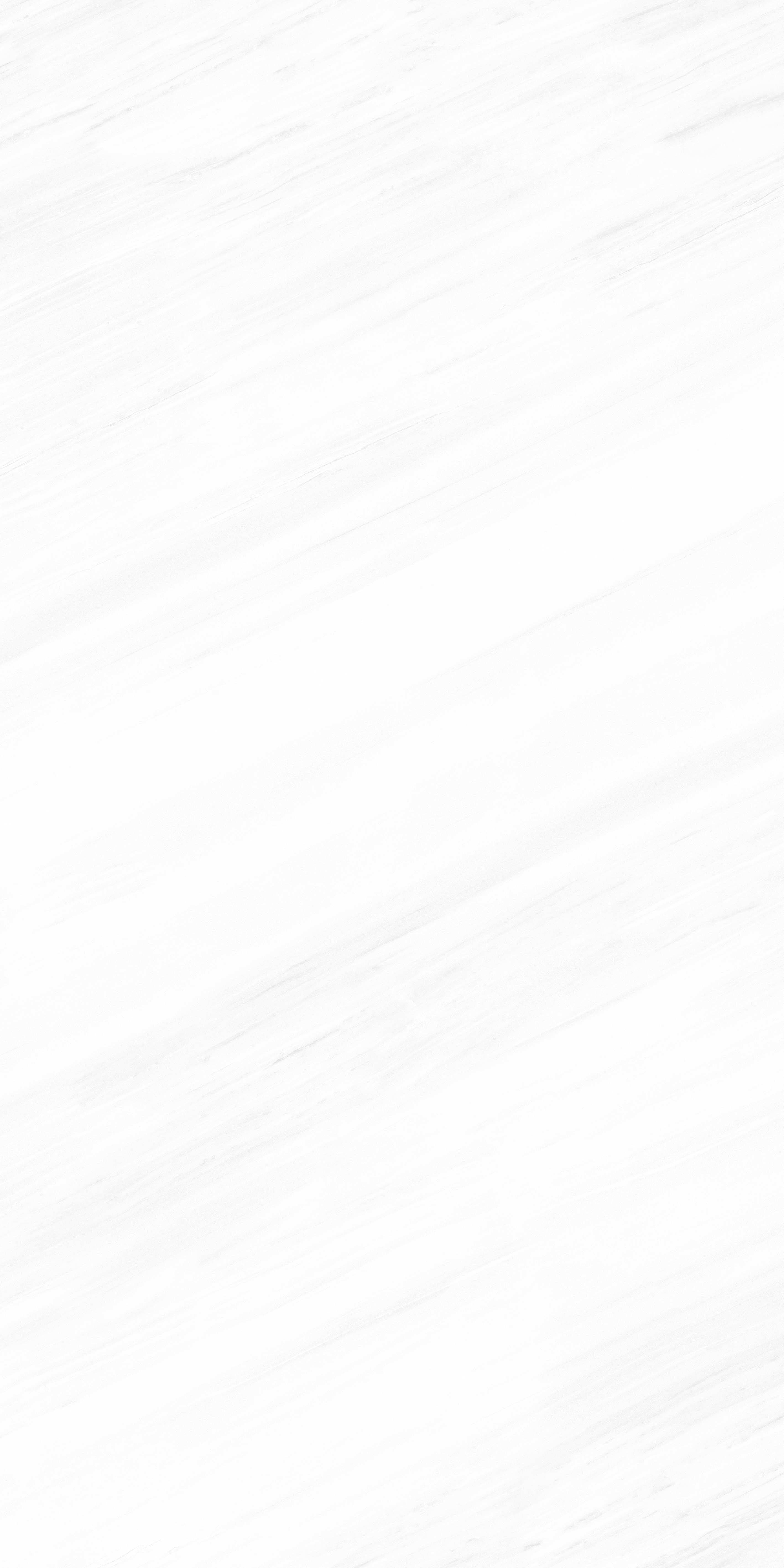 202504012357315731 202504012357315731