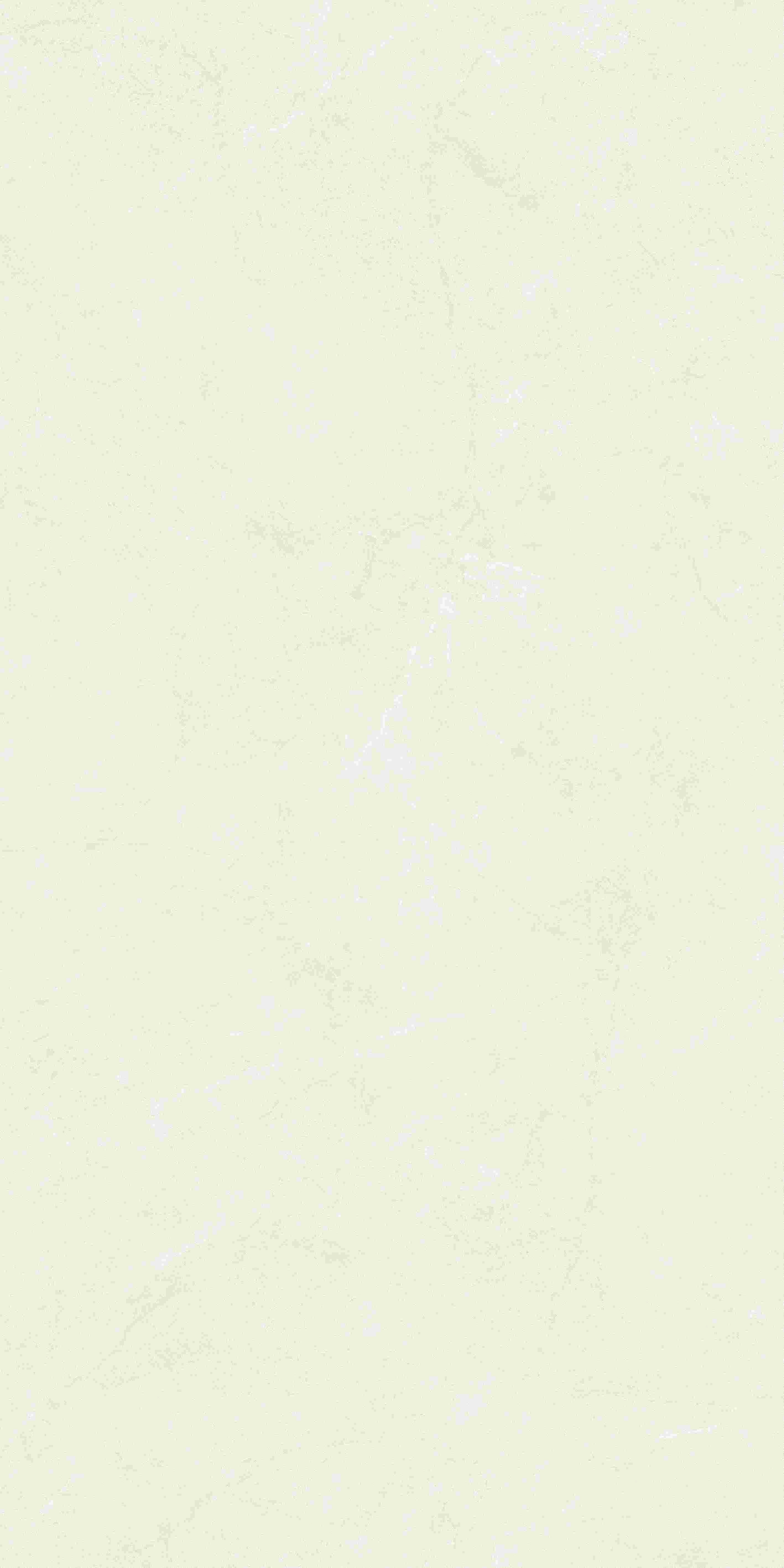 20250402000213213 20250402000213213