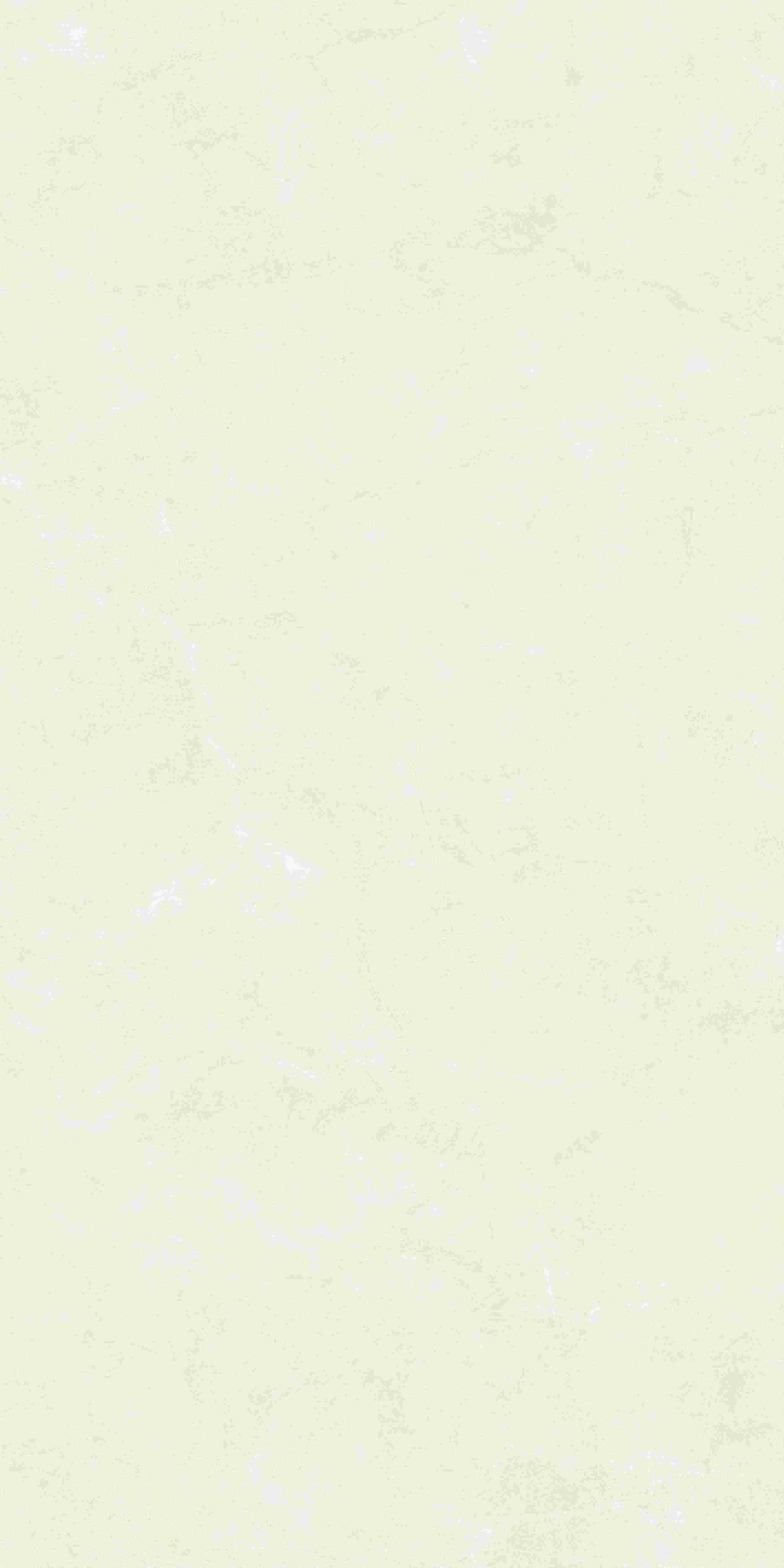 20250402000216216 20250402000216216