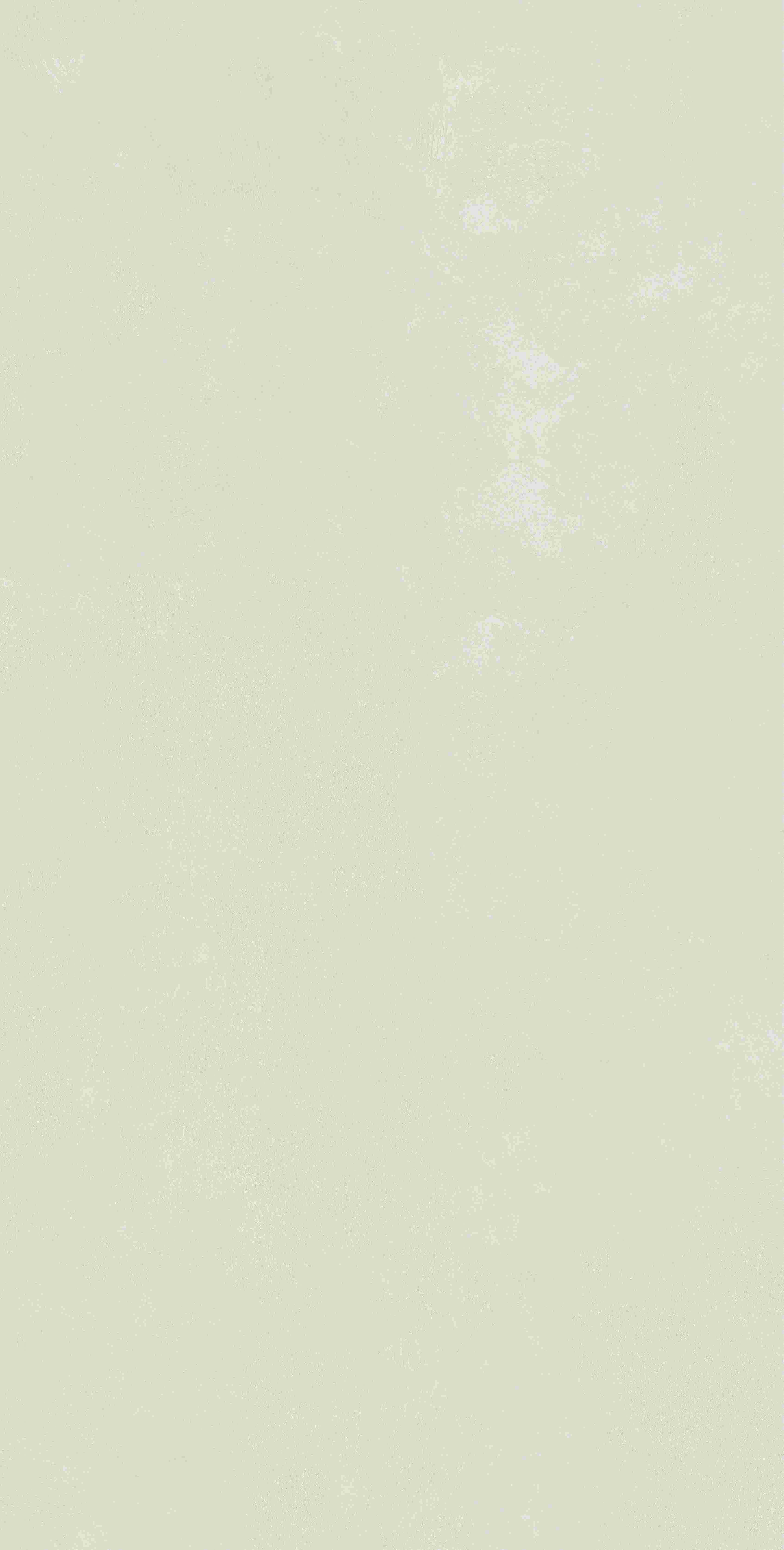 20250402090636636