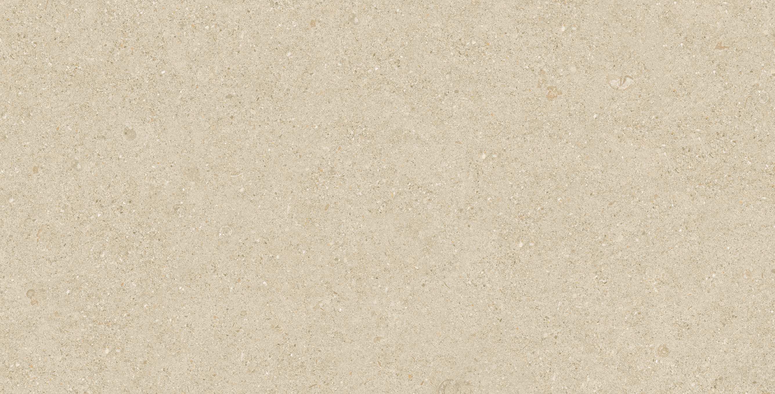 202605151742504250 202605151742504250